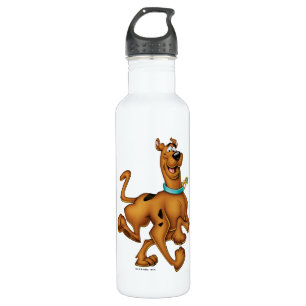 Scooby-Doo Happy Walk Edelstahlflasche