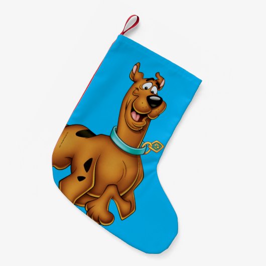 Scooby-Doo Happy Walk Kleiner Weihnachtsstrumpf (Vorderansicht (hängend))