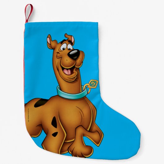 Scooby-Doo Happy Walk Kleiner Weihnachtsstrumpf (Vorderseite)