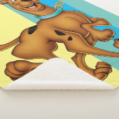 Scooby-Doo Happy Walk Sherpadecke (3/4)