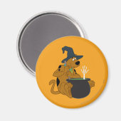 Scooby-Doo Hexs Cauldron Magnet (Vorderseite/Rückseite)
