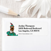 Scooby-Doo ist in Kränden verstrickt (Insitu)