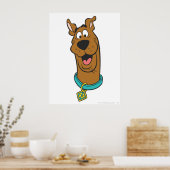 Scooby-Doo lächelnd Gesicht Poster (Küche)