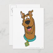Scooby-Doo lächelnd Gesicht Postkarte (Vorne/Hinten)