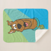 Scooby-Doo lächelnd Gesicht Sherpadecke (Vorderseite (Horizontal))