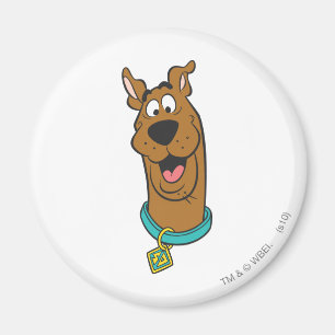 Scooby-Doo lächelndes Gesicht Magnet