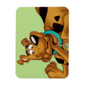 Scooby-Doo lying Down Magnet (Vertikal)