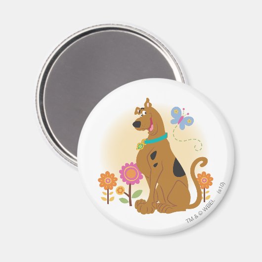 Scooby-Doo nach Butterfly Magnet (Vorderseite/Rückseite)