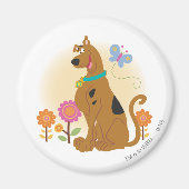 Scooby-Doo nach Butterfly Magnet (Vorne)