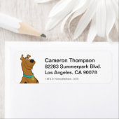 Scooby-Doo Niedlicher als Niedlich (Insitu)