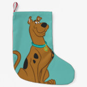 Scooby-Doo Niedlicher als Niedlich Kleiner Weihnachtsstrumpf (Vorderseite)