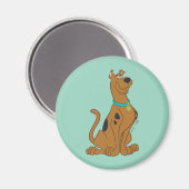 Scooby-Doo Niedlicher als Niedlich Magnet (Vorderseite/Rückseite)