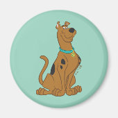 Scooby-Doo Niedlicher als Niedlich Magnet (Vorne)