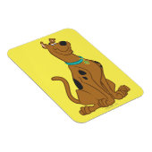 Scooby-Doo Niedlicher als Niedlich Magnet (Rechte Seite)