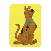 Scooby-Doo Niedlicher als Niedlich Magnet (Vertikal)