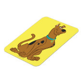 Scooby-Doo Niedlicher als Niedlich Magnet (Linke Seite)