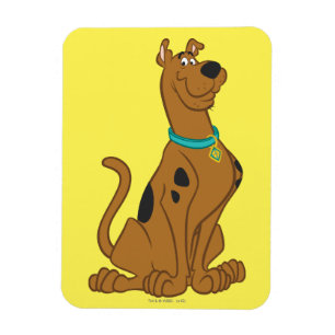 Scooby-Doo niedlicheres als niedliches Magnet
