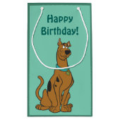 Scooby-Doo Puppy Eyes Kleine Geschenktüte (Rückseite)