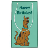 Scooby-Doo Puppy Eyes Kleine Geschenktüte (Vorderseite)