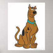Scooby-Doo Puppy Eyes Poster (Vorne)