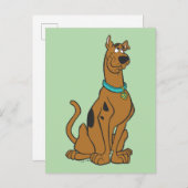 Scooby-Doo Puppy Eyes Postkarte (Vorne/Hinten)
