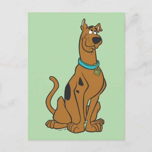 Scooby-Doo Puppy Eyes Postkarte (Vorderseite)