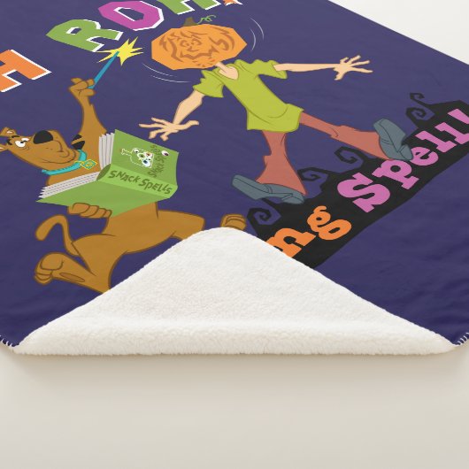 Scooby-Doo | Ruh Roh! Falscher Zauber! Sherpadecke (3/4)