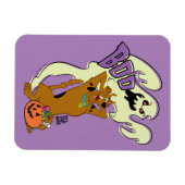 Scooby-Doo | Scooby-Doo Boo Magnet (Horizontal)
