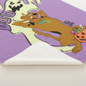 Scooby-Doo | Scooby-Doo Boo Sherpadecke (3/4)