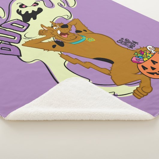 Scooby-Doo | Scooby-Doo Boo Sherpadecke (3/4)