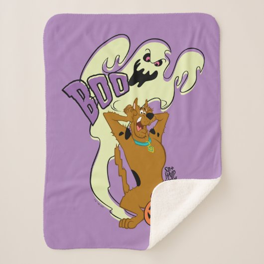Scooby-Doo | Scooby-Doo Boo Sherpadecke (Vorderseite)