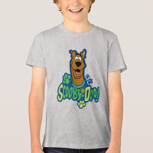 Scooby-Doo Tatzen-Druck-Charakter-Abzeichen Tri-Blend Shirt (Vorderseite)