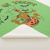 Scooby-Doo | Trick der Leckerei Sherpadecke (3/4)