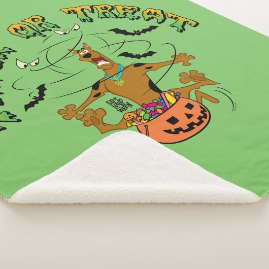 Scooby-Doo | Trick der Leckerei Sherpadecke (3/4)