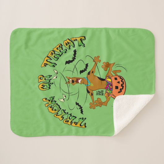 Scooby-Doo | Trick der Leckerei Sherpadecke (Vorderseite (Horizontal))