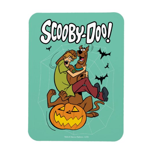 Scooby-Doo und Shaggy Halloween Fright Magnet (Vertikal)