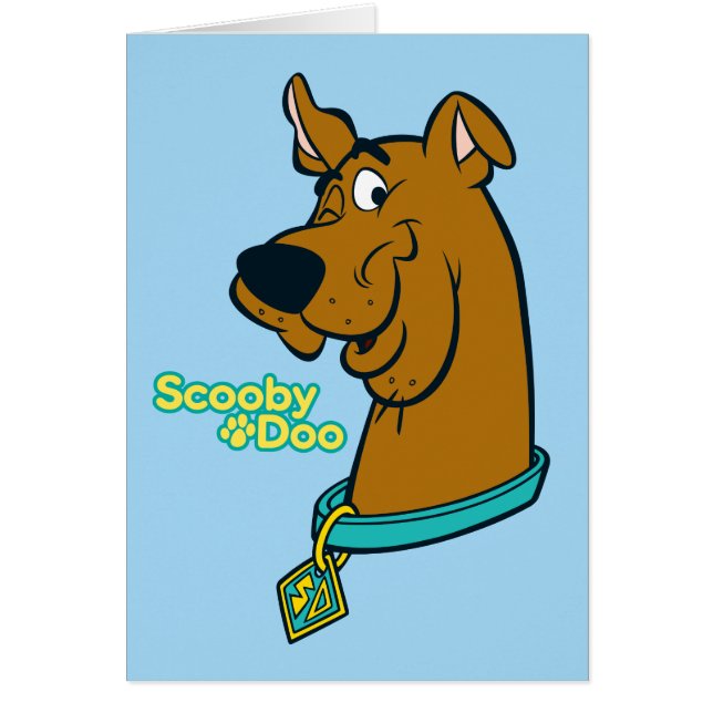 Scooby-Doo Winking (Vorne)