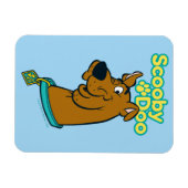 Scooby-Doo Winking Magnet (Horizontal)