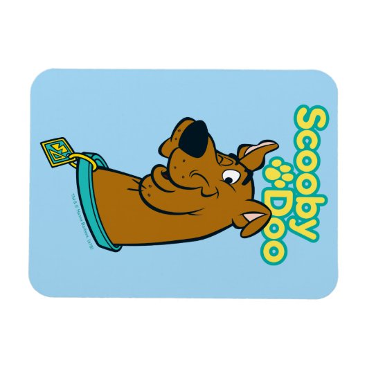 Scooby-Doo Winking Magnet (Horizontal)