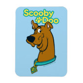 Scooby-Doo Winking Magnet (Vertikal)