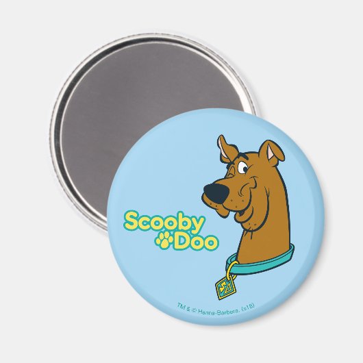 Scooby-Doo Winking Magnet (Vorderseite/Rückseite)