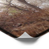 "Scooby"-Schutzkanine Bild/Print Poster (Ecke)