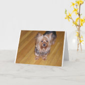 SCOOTA KARTE (Gelbe Blume)