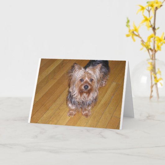 SCOOTA KARTE (Gelbe Blume)