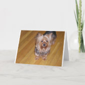 SCOOTA KARTE (Vorderseite)