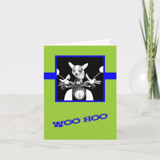 Scooter Chihuahua Karte (Vorderseite)
