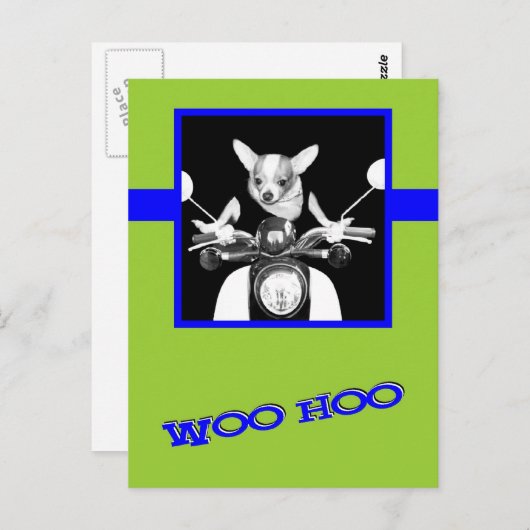Scooter Chihuahua Postkarte (Vorne/Hinten)