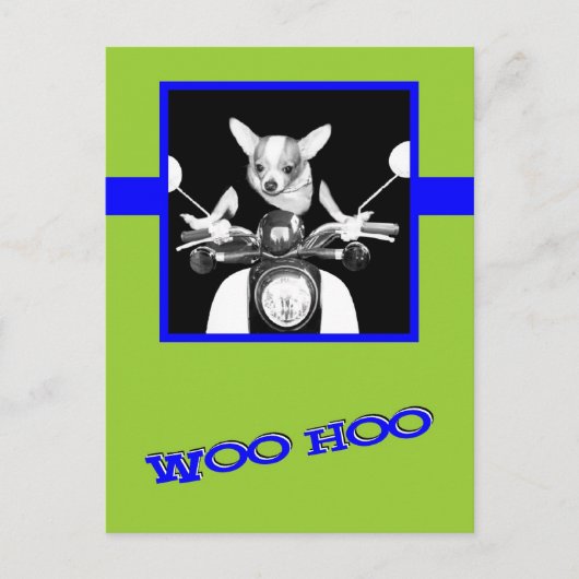 Scooter Chihuahua Postkarte (Vorderseite)