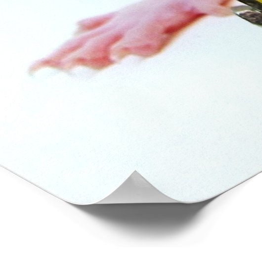 Scootimus Rattus Poster (Ecke)