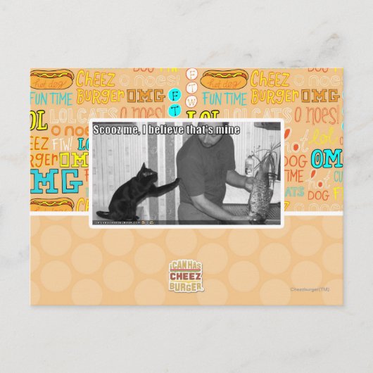 Scooz, ich glaube, das gehört mir postkarte (Vorderseite)